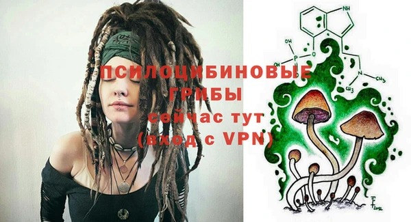 спайс Белокуриха