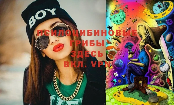 кокс Баксан
