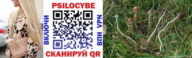 Галлюциногенные грибы Psilocybe  кракен зеркало  Уржум  наркотики 